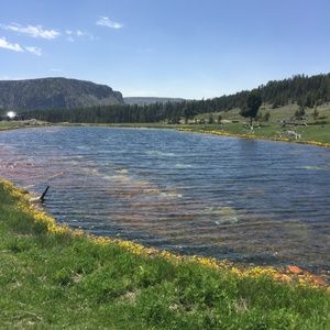 Meet your Posher, Paige